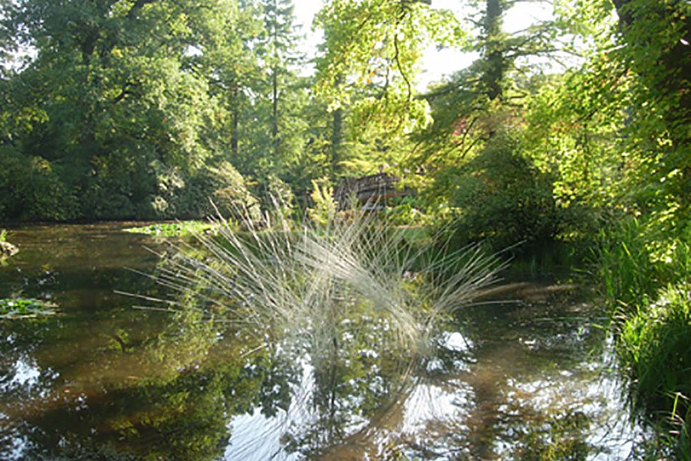 14_Teich, Schloss Wolfsgarten [2007]